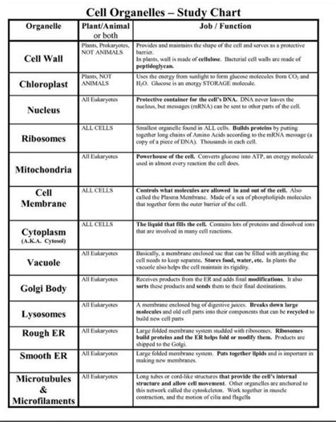 Worksheets Human Cell Structure 的图像结果