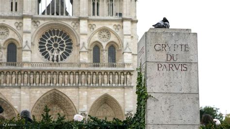 Notre Dame Cathedral tour in Paris - Klook