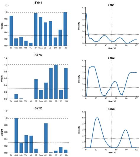 Characterization of Muscle Activation and Muscle Synergism in the ...