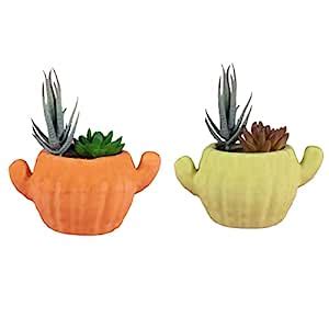 Wonderland (Set of 2 Cactus Shape Ceramic Pot/Planter Without Plant for ...