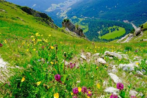 THE 10 CLOSEST Hotels to Seceda, Ortisei