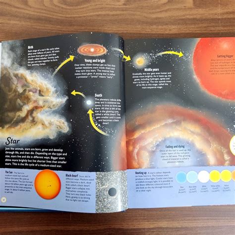 Life Cycles: Everything from Start to Finish by DK : Booksetgo – BOOKSETGO