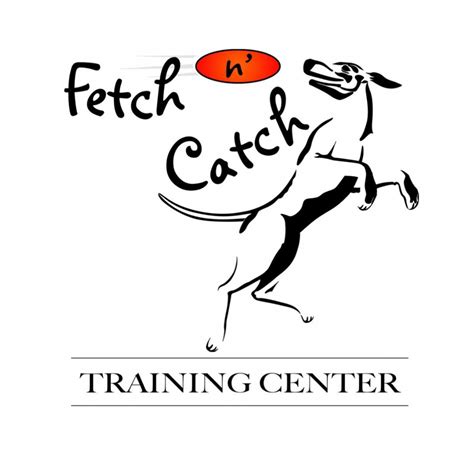 Image result for Fetch Training