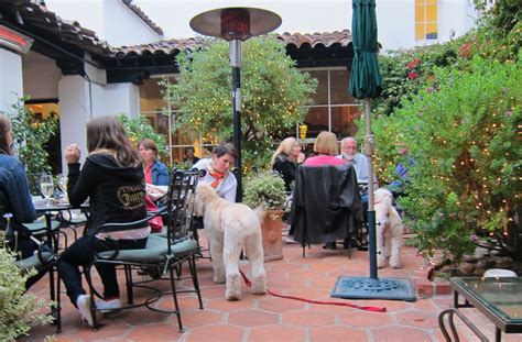 15 Best Dog Friendly Restaurants in Carmel-by-the-Sea