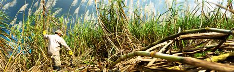 WOWSlider generated by WOWSlider.com