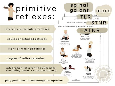 Atnr Integration 的图像结果