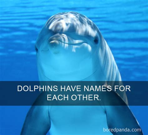 Image result for Random Happy Facts