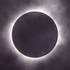 How to keep dogs and cats safe during the solar eclipse : Solar eclipse ...