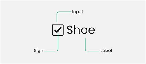 Check Box Examples 的图像结果