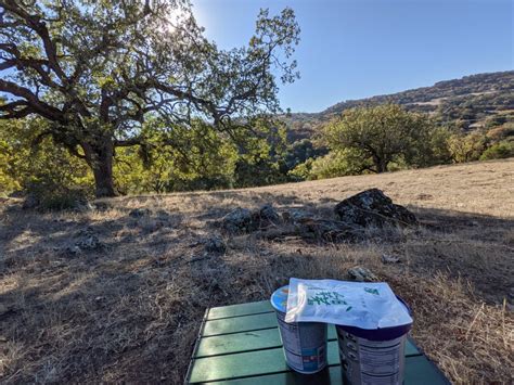 Pixel 5 Phone 的图像结果