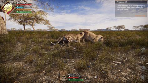 Lightning Fast Game 的图像结果