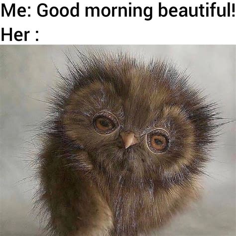 Good Morning Beautiful Meme For Her