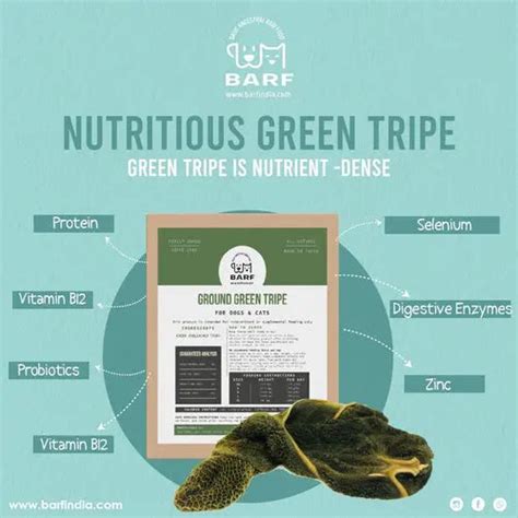 Green Tripe as a Superfood for Dogs: Benefits & Uses
