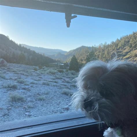 The Hostel California