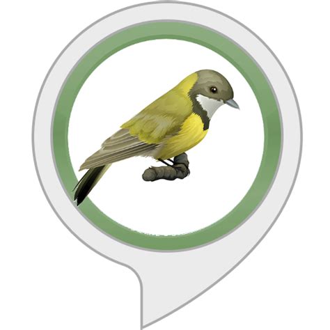 Amazon.in: Sleep Sounds of Rainforest : Alexa Skills