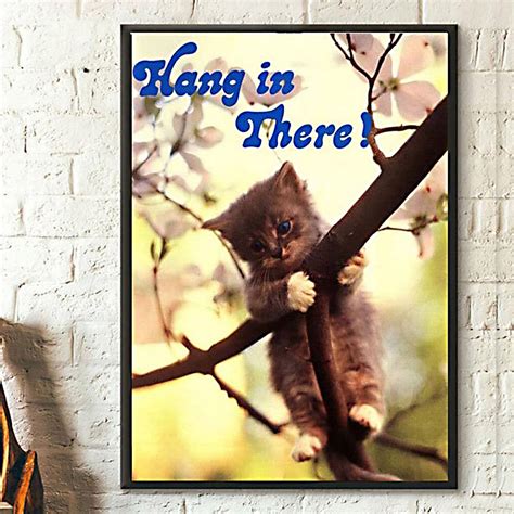 Hang in There Ideas Hang in There Cat, Hanging, Cat Posters, Unique ...