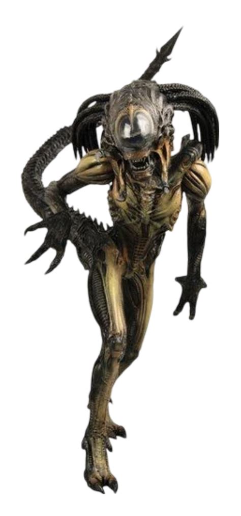 Image result for Alien Predalien