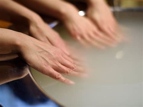 YAMATO KOJI PARK (2026) All You Need to Know BEFORE You Go (with Photos ...