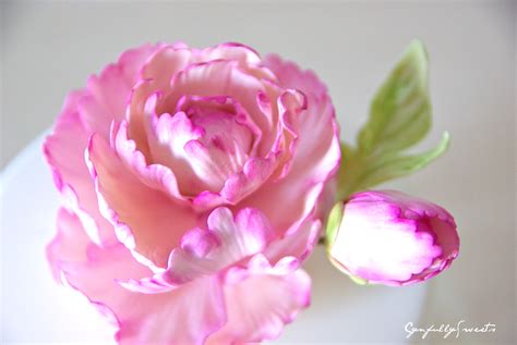 Image result for Gumpaste Flowers