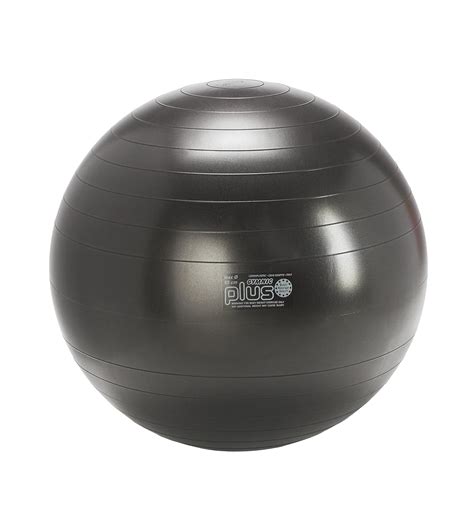 Gymnic Plus Burst-Resistant Exercise Ball, Black (65 cm) : Amazon.in ...