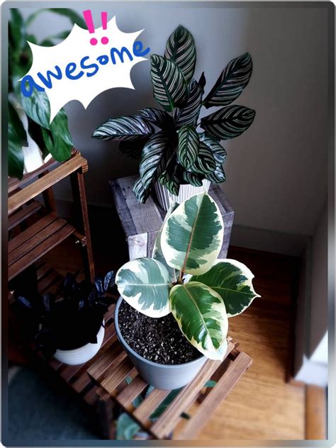 What is the designation hierarchy in JP morgan chase ? I have been ...