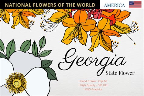 Georgia State Flower