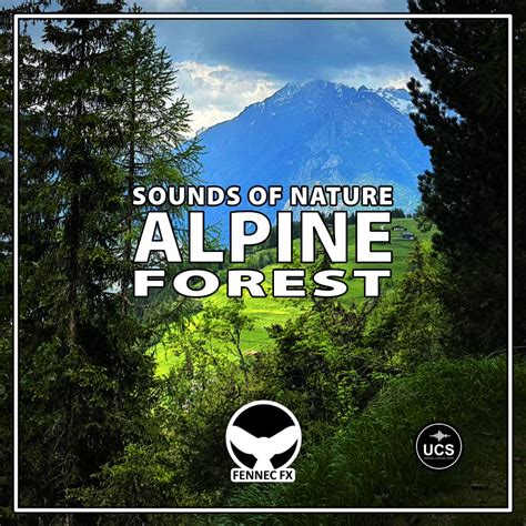 Image result for Alien Forest Sounds