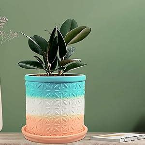 Lasaki Gloria Flower Ceramic Pot with Saucer Plate Tray for Indoor ...