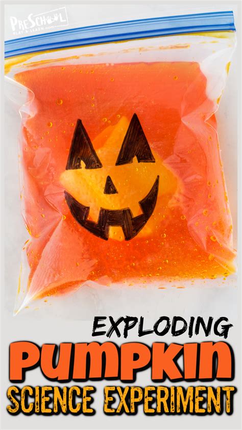 Image result for Exploding Pumpkin Experiment