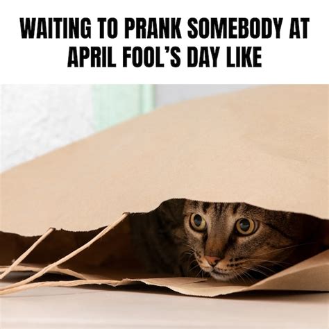 Image result for April Fools Coffee Meme