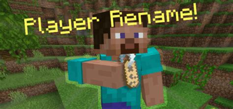Image result for How to Turn Off Player Names in Minecraft Java