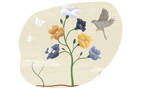 Image result for Oracle Certification Program Exams