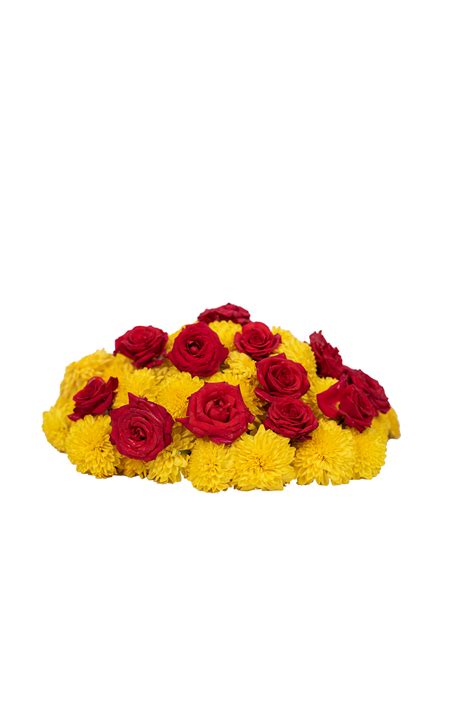 Yellow Shevanti Red Rose