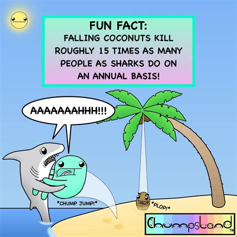 How Many People Die From Falling Coconuts Vs Other Accidents