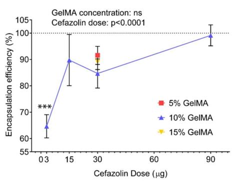 Gelatin Methacryloyl Hydrogels for the Localized Delivery of Cefazolin