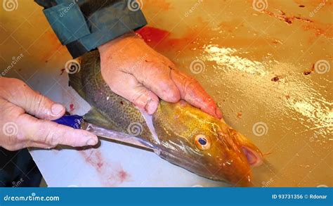 Image result for How to Cut Cod Fillets
