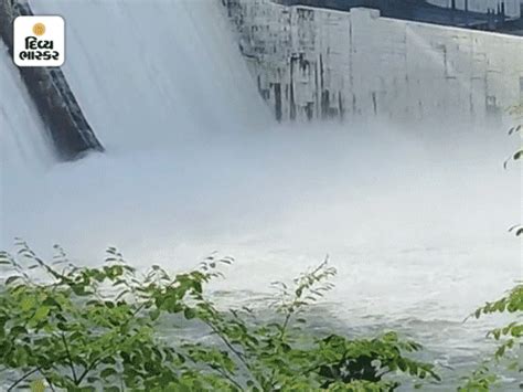 In 13 days, 9 gates of Sardar lake were opened again | 13 દિવસમાં સરદાર ...