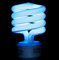 Image result for Types of Fluorescent Bulbs