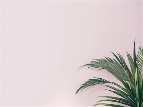 Professional Background 的图像结果