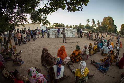 Un World Food Program 的图像结果