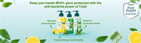 Himalaya Pure Hands Deep Cleansing Tulsi and Lemon Pump 250 ml : Amazon ...