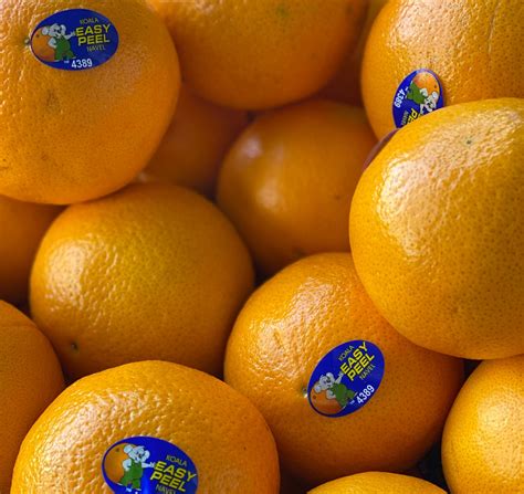 How Many Calories In A Easy Peeler Orange: The Facts