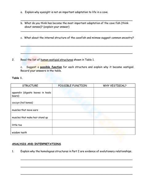 Evidence for Evolution Worksheet 的图像结果