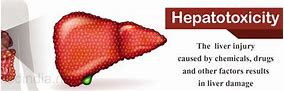 Image result for hepatotoxemia