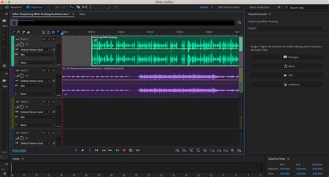 How to Edit Your Podcast in Adobe Audition: A Complete Guide