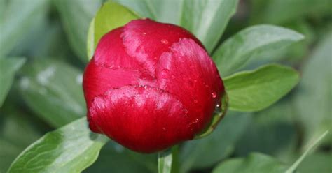 Image result for Core Java Learning