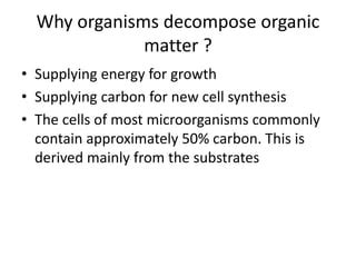 Image result for Decomposition Explained