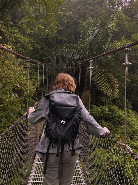 Image result for Ruby Snow