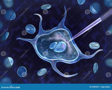 Alive cell stock illustration. Illustration of nature - 3489987