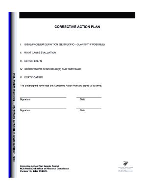 Fillable Online HealthONE - Corrective Action Plan (CAP) Guidance ...